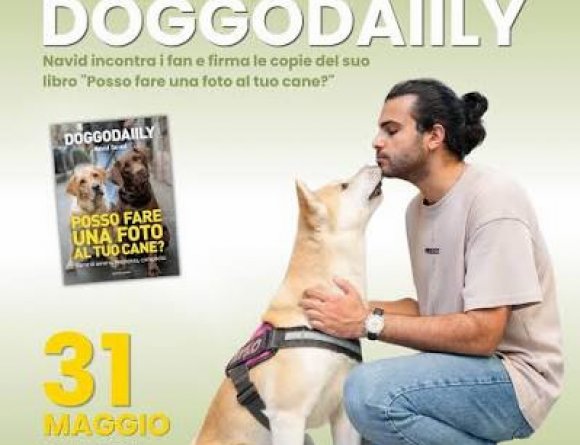 DoggoDaiily DoggoDaiily