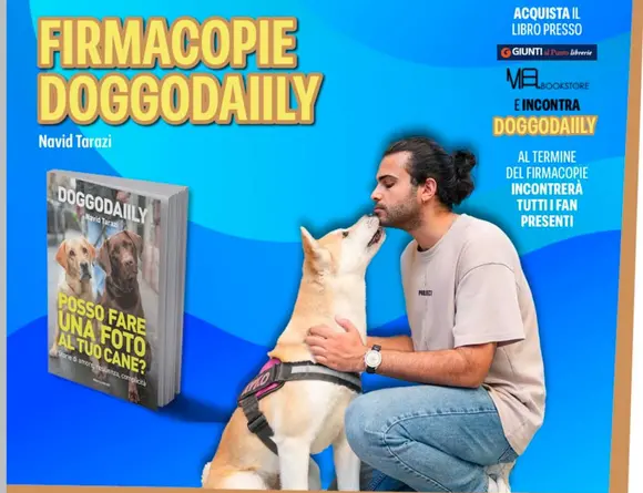DoggoDaiily