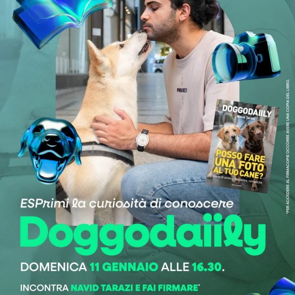 DoggoDaiily DoggoDaiily