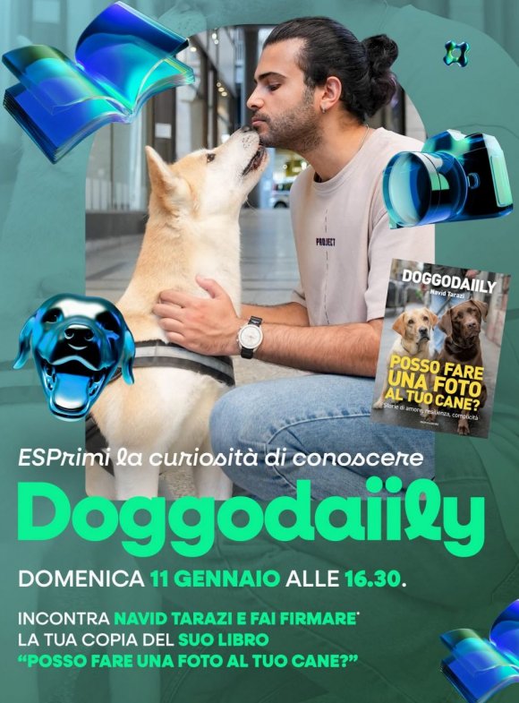 DoggoDaiily DoggoDaiily