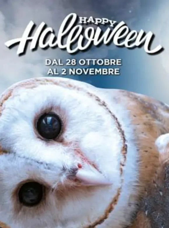 Oltremare Oltremare